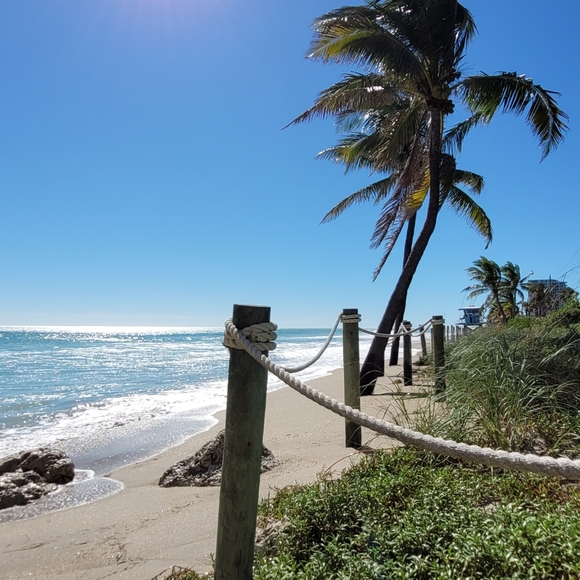 Meet your Posher, Wesley - Picture 4 of 6